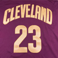 Men's Cleveland Cavaliers LeBron James #23 Red Swingman Fashion Jersey1