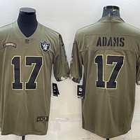 Men's Las Vegas Raiders Davante Adams #17 Olive 2022 Salute To Service Limited Jersey1
