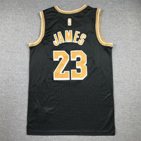 Men's Los Angeles Lakers LeBron James #23 Black Select Series Swingman Jersey1