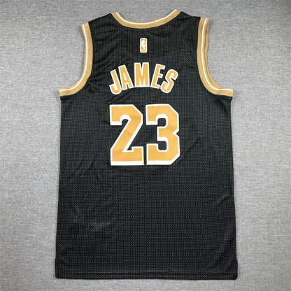 Men's Los Angeles Lakers LeBron James #23 Black Select Series Swingman Jersey1
