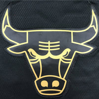 Men's Chicago Bulls Michael Jordan #23 Black Swingman Player Jersey1