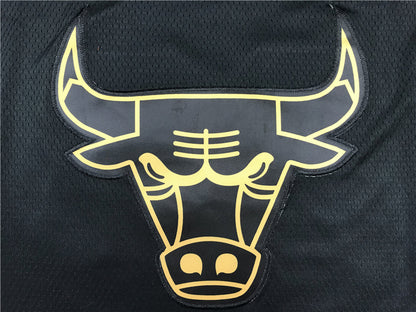 Men's Chicago Bulls Michael Jordan #23 Black Swingman Player Jersey1