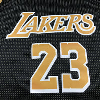 Men's Los Angeles Lakers LeBron James #23 Black Select Series Swingman Jersey1