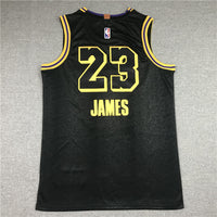 Men's Los Angeles Lakers Lebron James #23 Final Path Jersey1 Stitched