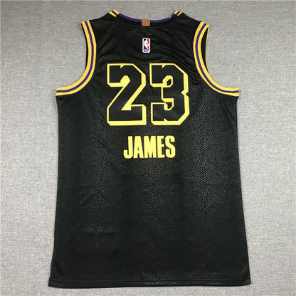 Men's Los Angeles Lakers Lebron James #23 Final Path Jersey1 Stitched