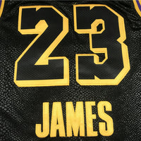 Men's Los Angeles Lakers Lebron James #23 Final Path Jersey1 Stitched