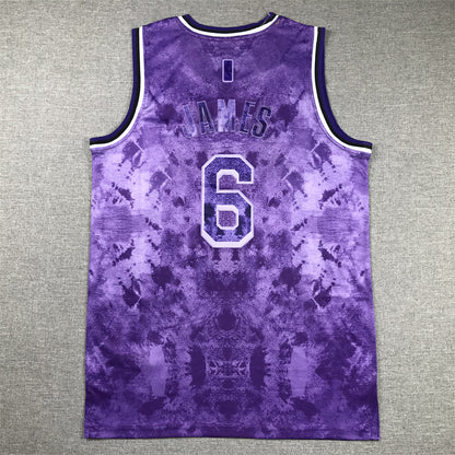 Men's Los Angeles Lakers LeBron James #6 Purple Select Series Swingman Jersey1