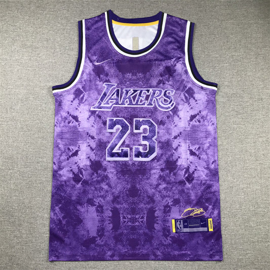 Men's Los Angeles Lakers LeBron James #23 Purple Select Series Swingman Jersey1