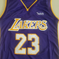 Men's Los Angeles Lakers LeBron James NBA #23 Purple Swingman Jersey1 - City Edition