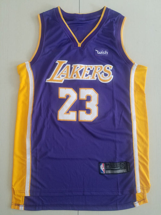 Men's Los Angeles Lakers LeBron James NBA #23 Purple Swingman Jersey1 - City Edition