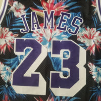 Men's LeBron James Los Angeles Lakers #23 NBA Classics Authentic Jersey1