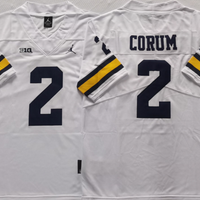 Men's Michigan Wolverines Blake Corum #2 White Alumni Player Game Jersey