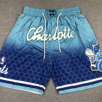 Men's Charlotte Hornets Blue City Edition Basketball Shorts11