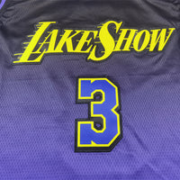 Men's Los Angeles Lakers Anthony Davis #3 Purple 2024/25 Swingman Jersey1 - City Edition