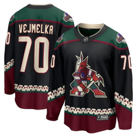 Men's Arizona Coyotes Karel Vejmelka #70 Black Home Breakaway Jersey1