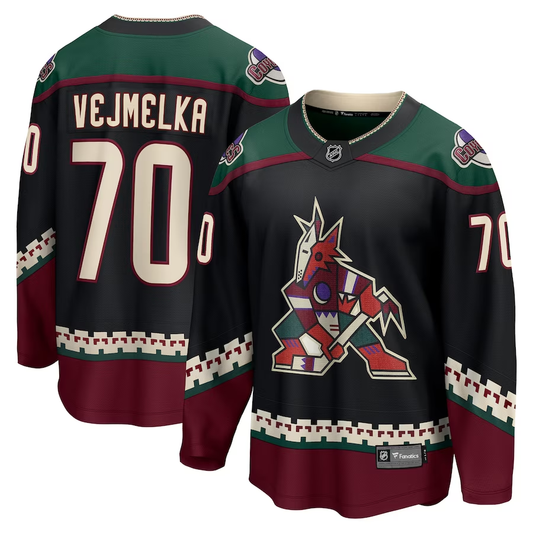 Men's Arizona Coyotes Karel Vejmelka #70 Black Home Breakaway Jersey1