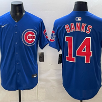 Men's Chicago Cubs Ernie Banks #14 Royal Alternate Replica Jersey