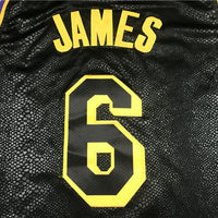 Men's Los Angeles Lakers LeBron James #6 NBA Black Jersey1