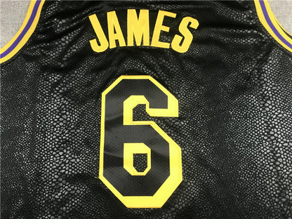 Men's Los Angeles Lakers LeBron James #6 NBA Black Jersey1