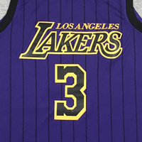 Men's Los Angeles Lakers Anthony Davis Purple #3 NBA Swingman Jersey1