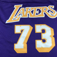 Men's Los Angeles Lakers Dennis Rodman Classics Swingman Jersey1 - Retro Purple