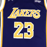 Men's Los Angeles Lakers LeBron James #23 NBA Purple Swingman Jersey1