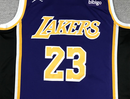 Men's Los Angeles Lakers LeBron James #23 NBA Purple Swingman Jersey1
