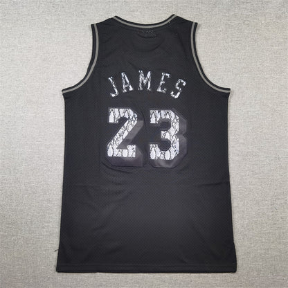 Men's Los Angeles Lakers LeBron James #23 Black 2018/19 Hardwood Classics Swingman Jersey1