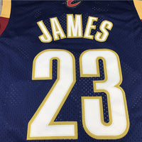 Men's Cleveland Cavaliers LeBron James 2008-09 Hardwood Classics Player Jersey1