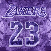Men's Los Angeles Lakers LeBron James #23 Purple Select Series Swingman Jersey1