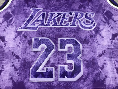 Men's Los Angeles Lakers LeBron James #23 Purple Select Series Swingman Jersey1