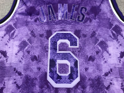 Men's Los Angeles Lakers LeBron James #6 Purple Select Series Swingman Jersey1