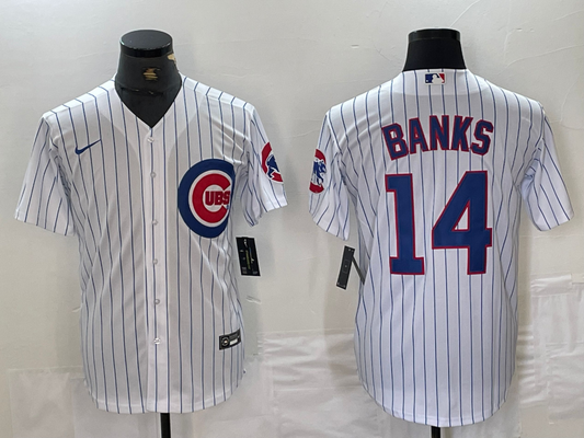 Men's Chicago Cubs Ernie Banks #14 White Replica Baseball Jersey1