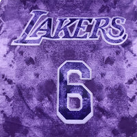 Men's Los Angeles Lakers LeBron James #6 Purple Select Series Swingman Jersey1