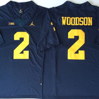 Men's Michigan Wolverines Charles Woodson #2 Navy Alumni Player Game Jersey
