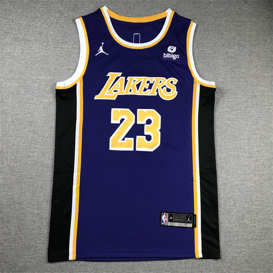 Men's Los Angeles Lakers LeBron James #23 NBA Purple Swingman Jersey1