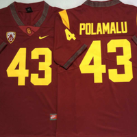 Men's USC Trojans Troy Polamalu #43 Cardinal Alumni Player Game Jersey