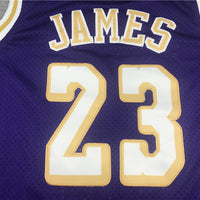 Men's Los Angeles Lakers LeBron James Purple Hardwood Classics Swingman Jersey1