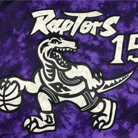Men's Toronto Raptors Vince Carter Purple Galaxy Swingman Jersey1