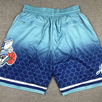 Men's Charlotte Hornets Blue City Edition Basketball Shorts11