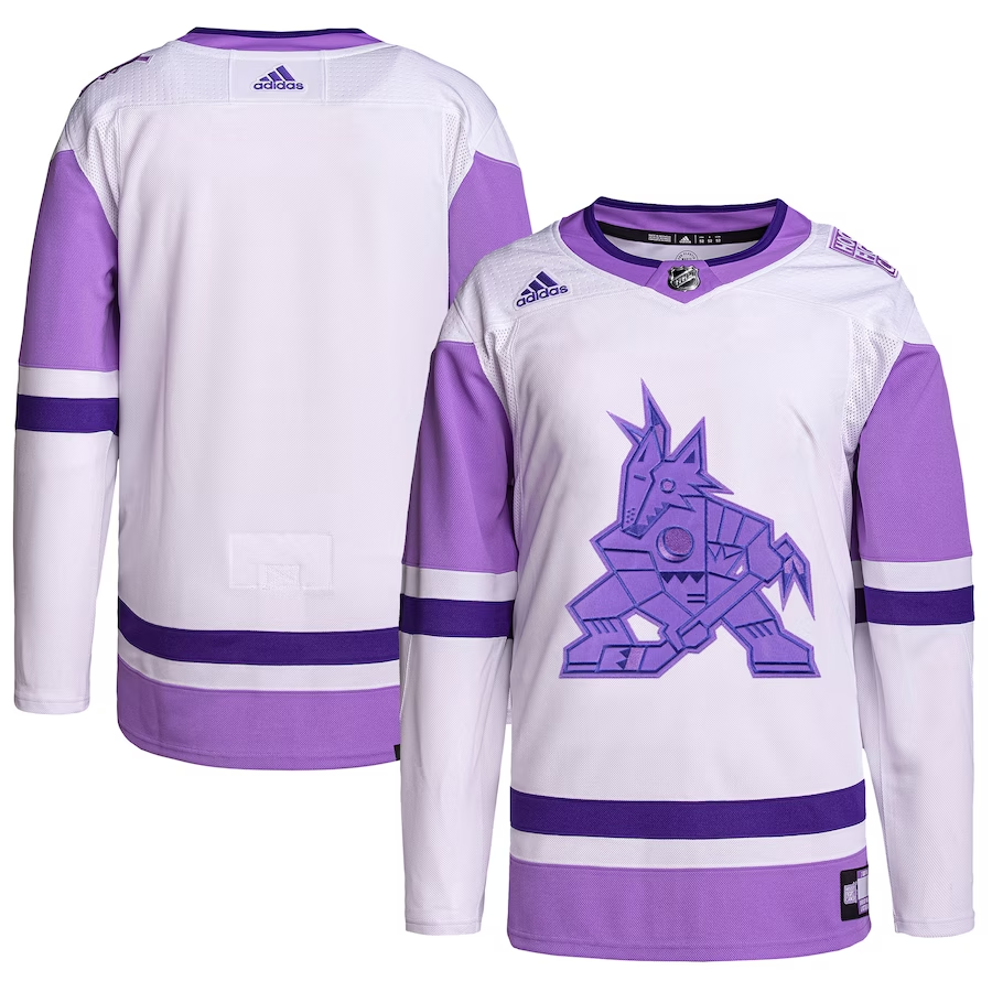 Men's Arizona Coyotes White/Purple Hockey Fights Cancer Primegreen Authentic Blank Practice Jersey1