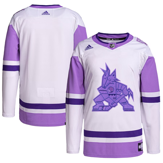 Men's Arizona Coyotes White/Purple Hockey Fights Cancer Primegreen Authentic Blank Practice Jersey1