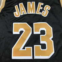 Men's Los Angeles Lakers LeBron James #23 Black Select Series Swingman Jersey1