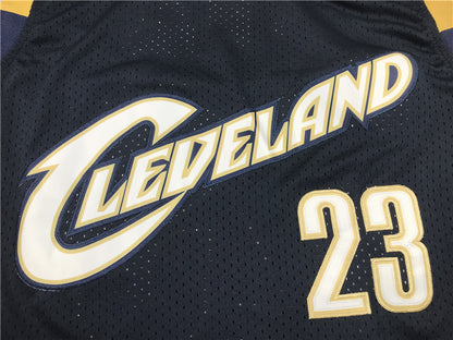Men's Cleveland Cavaliers LeBron James 2008-09 Hardwood Classics Swingman Jersey1