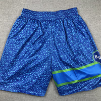 Men's Milwaukee Bucks Blue 2023/24 Swingman City Edition Shorts1