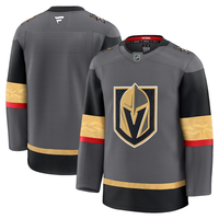 Men's Vegas Golden Knights Fanatics Gray Alternate Premium Blank Jersey