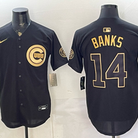 Men's Chicago Cubs Ernie Banks #14 Black Limited Player Jersey