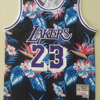 Men's LeBron James Los Angeles Lakers #23 NBA Classics Authentic Jersey1
