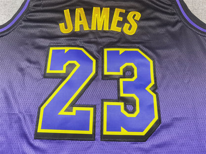 Men's Los Angeles Lakers LeBron James #23 Purple 2024/25 Swingman Jersey1 - City Edition