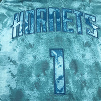 Men's Charlotte Hornets LaMelo Ball #1 Teal Select Series Swingman jersey1